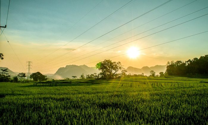 matahari pagi